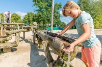 Spielplatz in Gelderland Holland