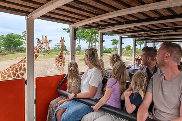 Was Kostet Das Parken Zoo Emmen Niederlande www.erlebnisparks-holland.de